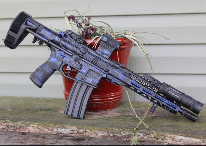 AR-15s for Dummies
